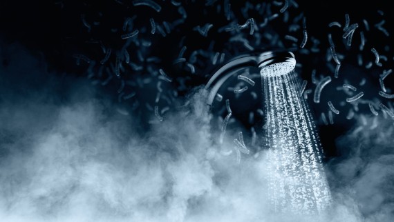 Shower sprays are potential source of legionella